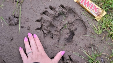 Фото нашей Странницы Анны Лазаренко