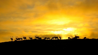 Фото: Sami Keinänen, visualhunt.com