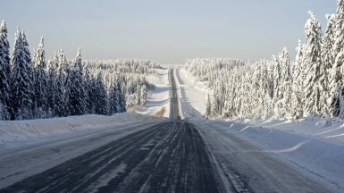 Фото: Aleksei Zaitcev, unsplash.com