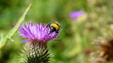 Фото: Robert Levonyan, unsplash.com