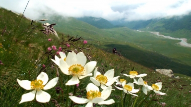 Фото нашего гида Геннадия Скосырева