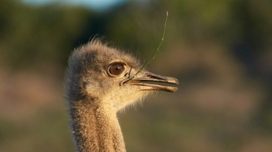 Фото: Wolfgang Hasselmann on Unsplash