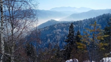 Фото Елены Пешковой