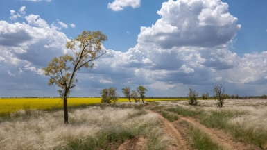 Фото нашего гида Михаила Верёвченко