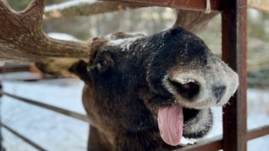 Фото нашей Странницы Екатерины Ибраевой