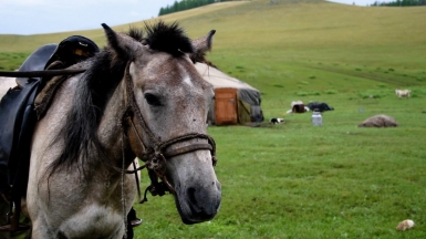 Фото: Stepa, visualhunt.com