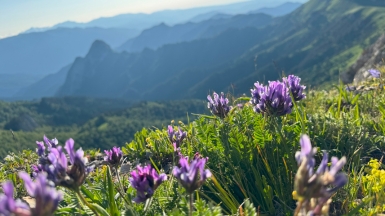 Фото нашей Странницы Татьяны Денисовой