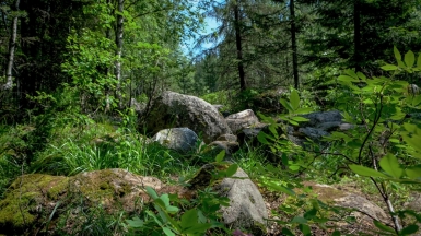Фото нашей Странницы Марины Шумаковой