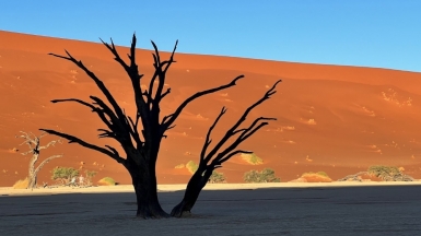 Долина Смерти. Фото: наш гид Алексей Шорец