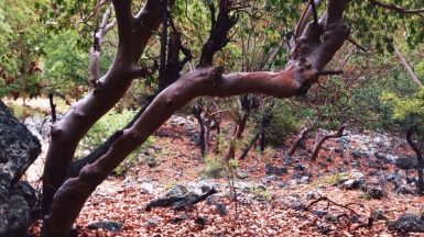 Фото Татьяны Швыряевой