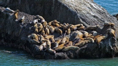 Фото: Scrubhiker (USCdyer), visualhunt.com