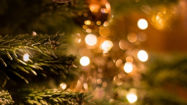 Фото: Philippe AWOUTERS, unsplash.com