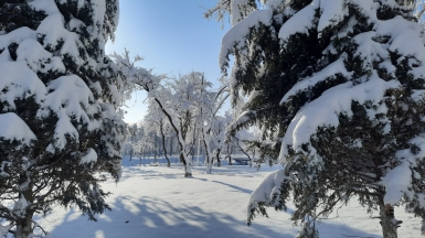Фото из архива Клуба