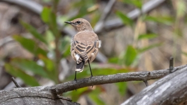 Фото нашего гида Михаила Верёвченко