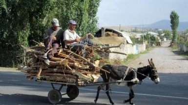 Фото нашего гида Ирины Пряничниковой