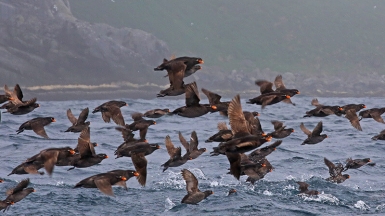 Фото из архива Клуба