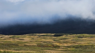 Фото нашей Странницы Анны Лазаренко