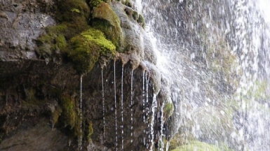 Фото: newandrew, visualhunt.com