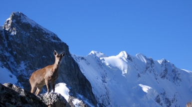 Фото нашего гида Геннадия Скосырева