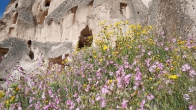 Фото нашего гида Ирины Пряничниковой