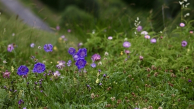 Автор фото: наш Странник Евгений Лузик