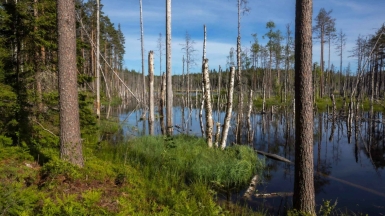 Фото нашего гида Михаила Верёвченко