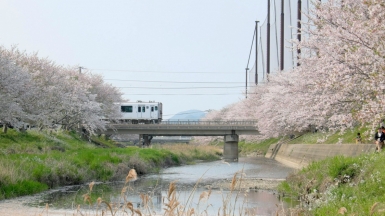 Фото: Akihiko Sayo on unsplash