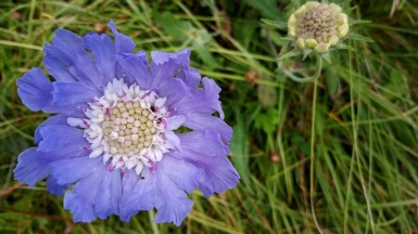 Фото нашего гида Ирины Пряничниковой