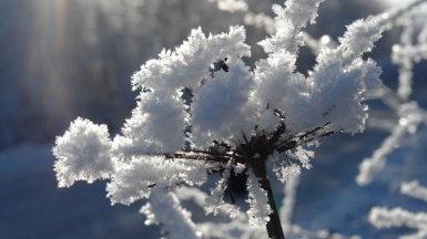 Фото из архива Клуба