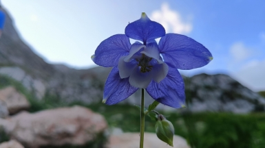 Фото нашего гида Сергея Кузура