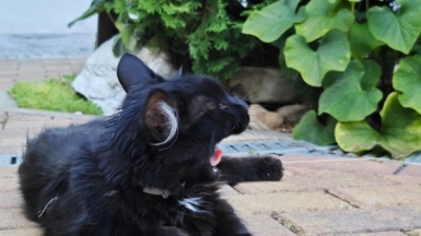 Фото нашей Странницы Галины Капраловой