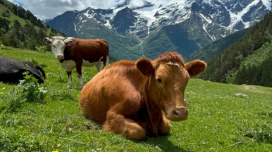 Фото нашей Странницы Елизаветы Остапенко