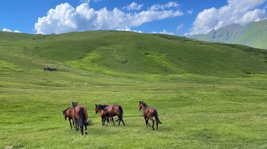Фото наших Странников