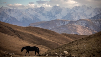 Фото нашего гида Михаила Верёвченко