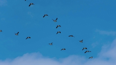 Фото: Smudge 9000, visualhunt