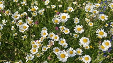 Фото нашего гида Марии Тергоевой