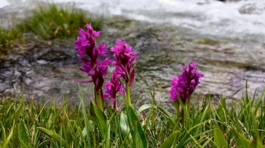 Фото наших Странников