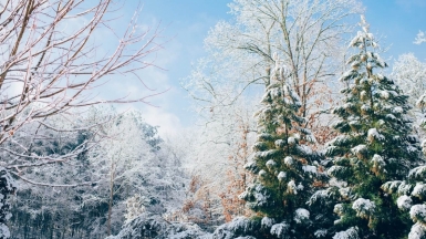 Автор Ian Sxhneider источник unsplash