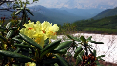 Дзендзур, фото: Степанов Илья