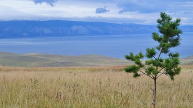 Фото нашего Странника Владимира Гущина
