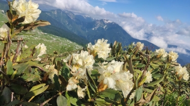 Фото наших Странников