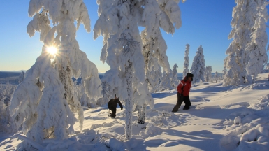 Фото: Михаил Местников