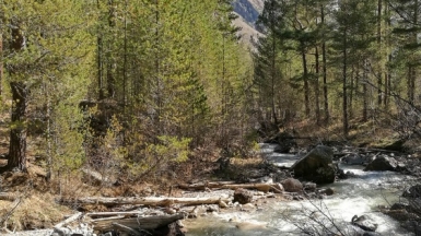 Фото наших партнёров