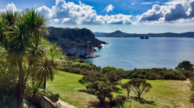 Фото: brewbooks, источник: visualhunt.com