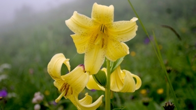 Фото из архива Клуба