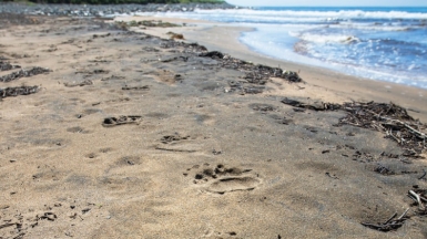 Фото из архива Клуба