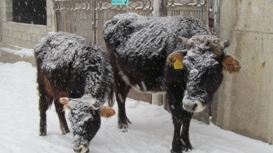 Фото нашего гида Ирины Пряничниковой