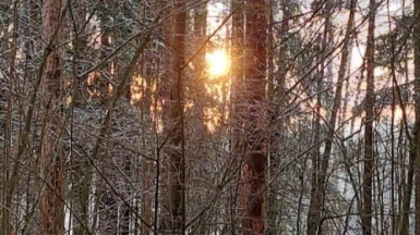 Фото нашего гида Александра Чудновского