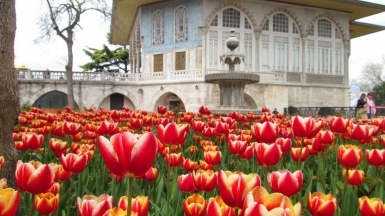 Дворец Топкапы. Фото нашего гида Ирины Пряничниковой