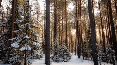 Фото нашего гида Михаила Верёвченко